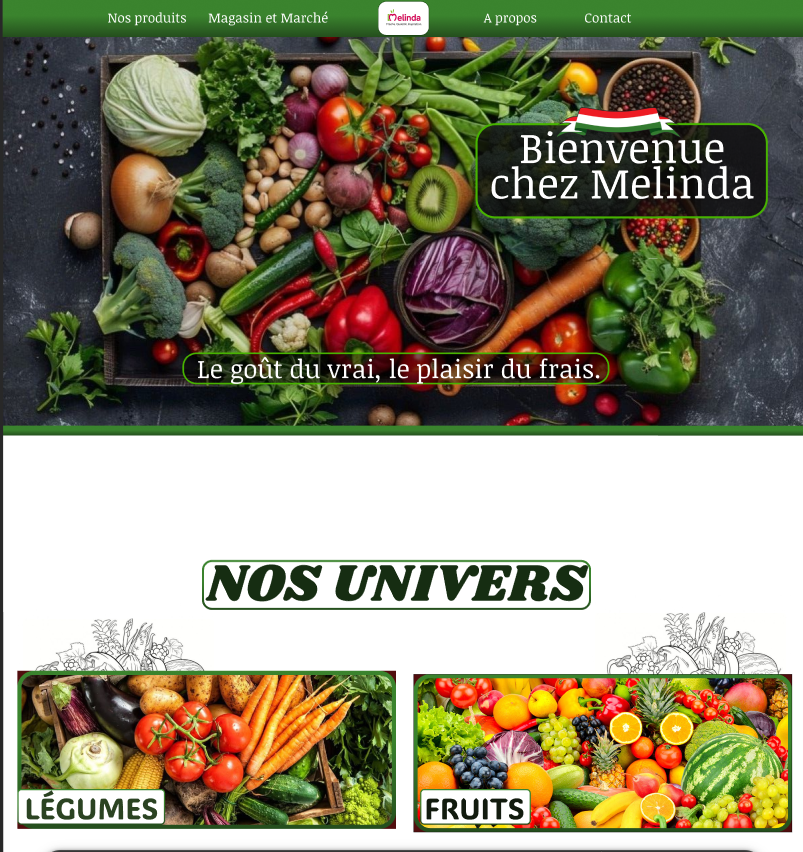 Projet Melinda